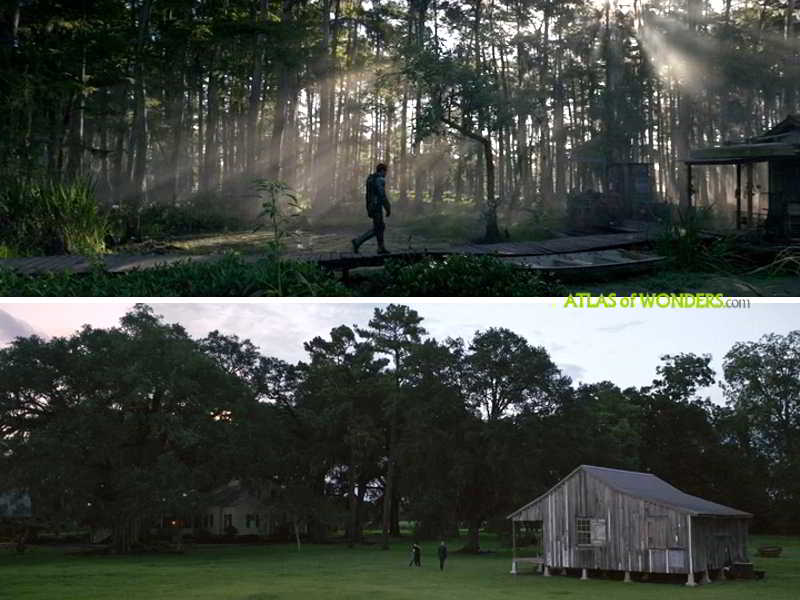 Louisiana house plantation scene