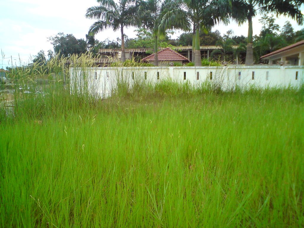 rent property Land Lots Sale | 1024 x 768