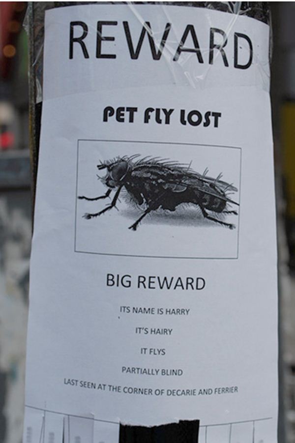 Funny Lost and Found Signs, funny missing signs, funny missing posters ...