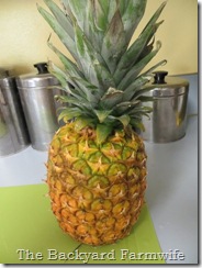 fresh pineapple sorbet - The Backyard Farmwife