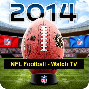 49ers vs eagles nfl sports image 2014