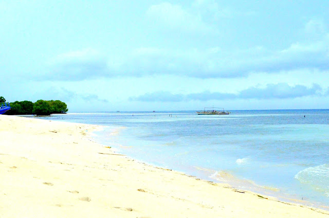 honda+bay+puerto+princesa+tour.jpg