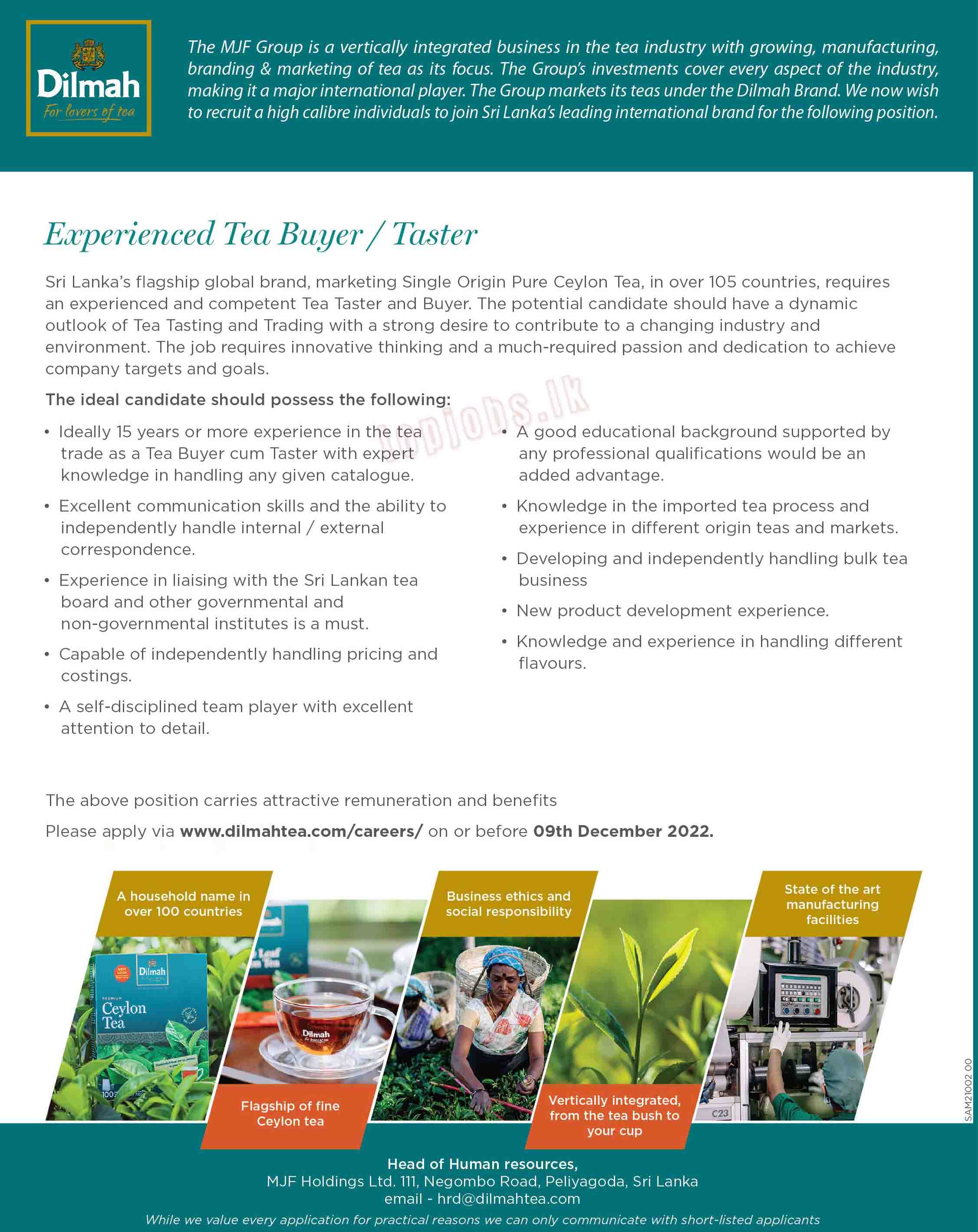 Tea Buyer Dilmah tea