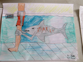 drawing of a shark