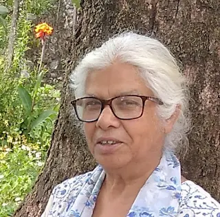 दीदी | दीदी की जीवनी पर आधारित संस्मरण