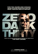 Zero Dark Thirty (BrRip)