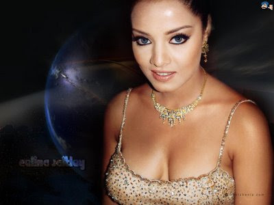 Celina Jaitley Wallpapers