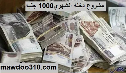 مشروع دخله الشهري 1000 جنيه