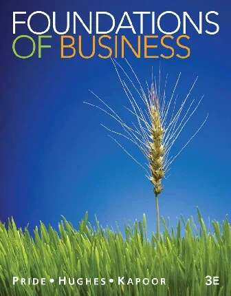 Foundations of Business 3rd Edition [PDF]