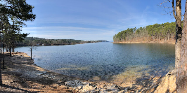 lake surrounded by forest