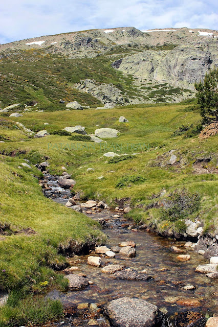 Peñalara. La Laguna Grande.