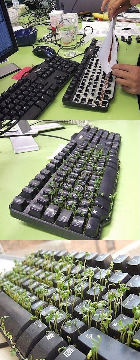 Ideas : Green Keyboard