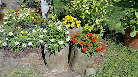 Summer flowers in Vermont. Share Now. #flowerbeds #eclecticredbarn