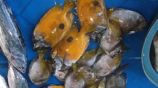 fresh gold colored fish at the talipapa of Brgy 85 San Jose Tacloban
