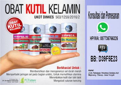 obat kutil kelamin