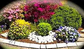 Flowers of Spring and Summer