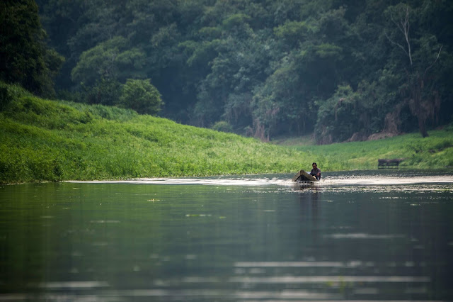 يمكن أن يكون الأمازون مفتاحًا لتفادي أسوأ أزمة المناخ