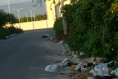 Zona de la Ciudad Universitaria luce arrabalizada,llena de basura y escombros