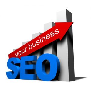 SEO Services in Laxmi Nagar