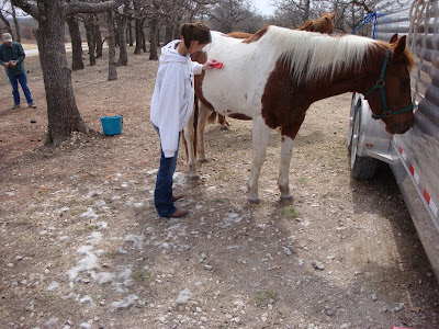 Sherie & Apache