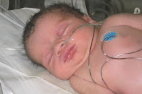 Newborn Abigail