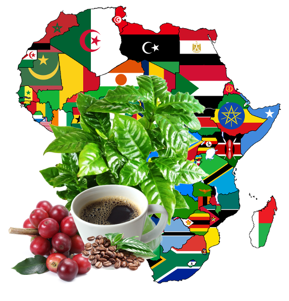 Cultura do Café na Economia da África
