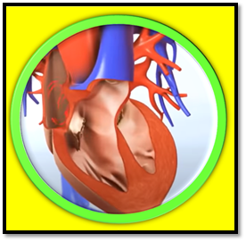 COVID-19 myocardial injury in survivors myocardial injury and covid-19 possible mechanisms can covid-19 cause heart damage does covid 19 cause permanent heart damage can heart patients survive covid 19 how does covid 19 affect the cardiovascular system how does covid 19 affect the heart