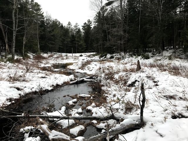 Silent Lake Provincial Park winter