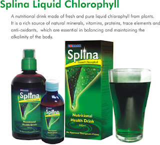 edmark splina liquid chlorophyll - good nutrition and how to maintain good health