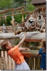 Zoo