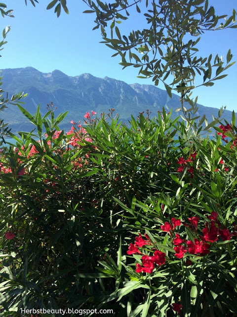 Limone sul Garda