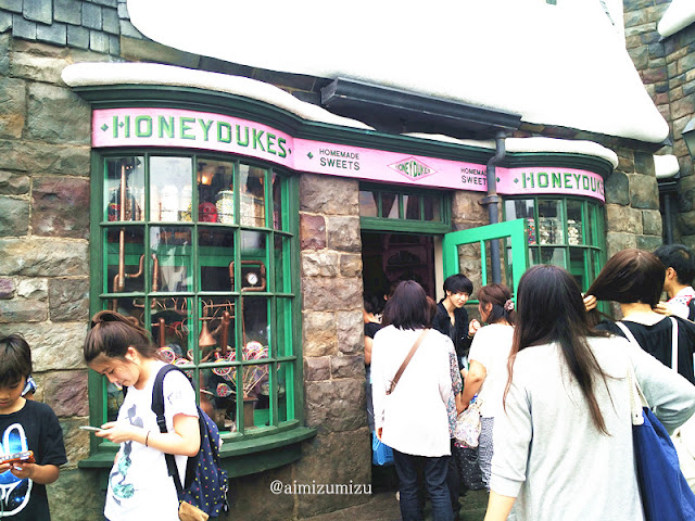 Wizarding World of Harry Potter - USJ