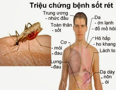 Những thể bệnh thường gặp