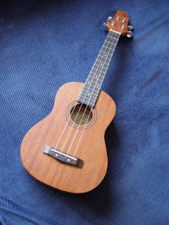 A gorgeous ukelele