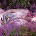 Kirsty Mitchell's wonderland