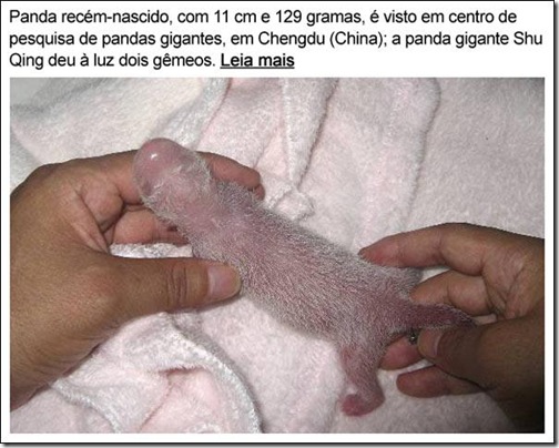 .com/img/b/R29vZ2xl/AVvXsEibL3eabM4zBYekBldQi20UuyQLrfNn1FYWTRAamznYrgxq1bTQyKy34ERAecswKkzMUDrrxtmV9uzcBGFU9lvEIaFIiw_NL4YmBT-YT2DOCxeBjf9zx1zEc8BpKKRtvQGJNlT7HZCtpGU/