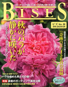 BISES (ビズ) 2012年 10月号 [雑誌]