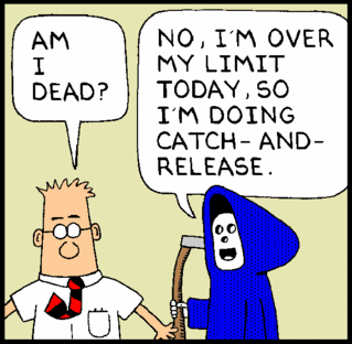 Dilbert strip -- Am I dead? -- No, I'm over my limit today so I'm doing catch-and-release