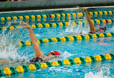 Picture of swimmers doing backstroke in the pool. 4 Backstroke Mistakes & How to Avoid Them