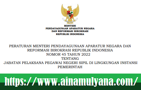 Permenpan RB Nomor 45 Tahun 2022 Tentang Jabatan Pelaksana PNS di Lingkungan Instansi Pemerintah