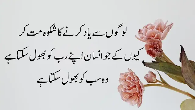 20+ Best Quotes Of Hazrat ALI (R.A)