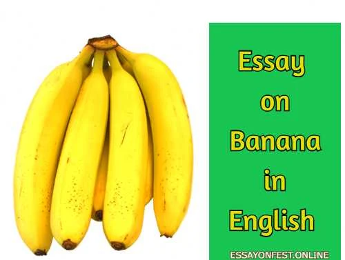 Essay on Banana in English