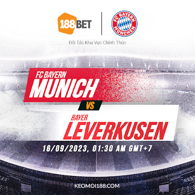 Bayern Munich vs Leverkusen