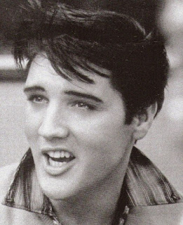 Elvis-foto-viso