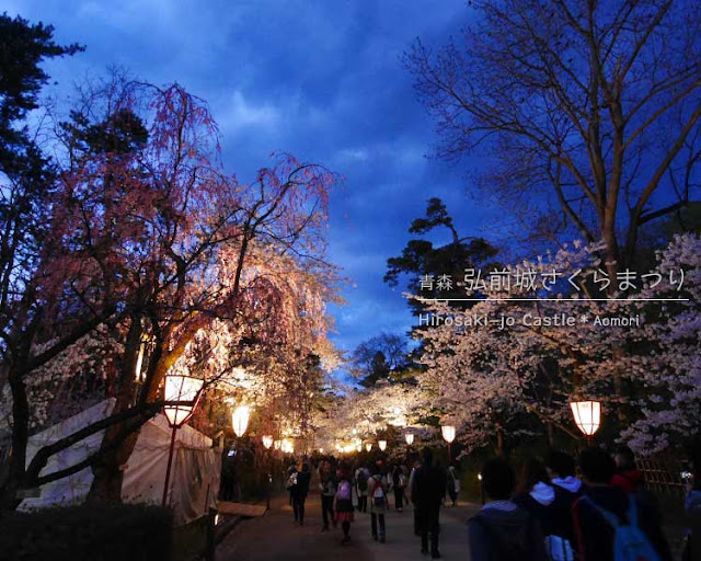 弘前城の夜桜