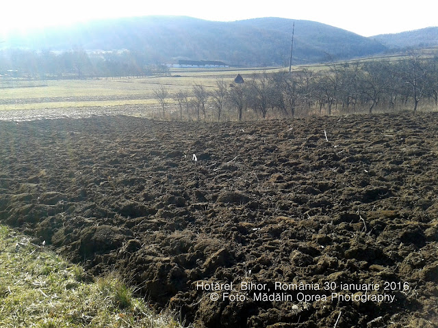 Hotarel, Bihor, Romania 30 ianuarie 2016. Hotarel, Bihor, Romania 30.01.2016 ; satul Hotarel comuna Lunca judetul Bihor Romania