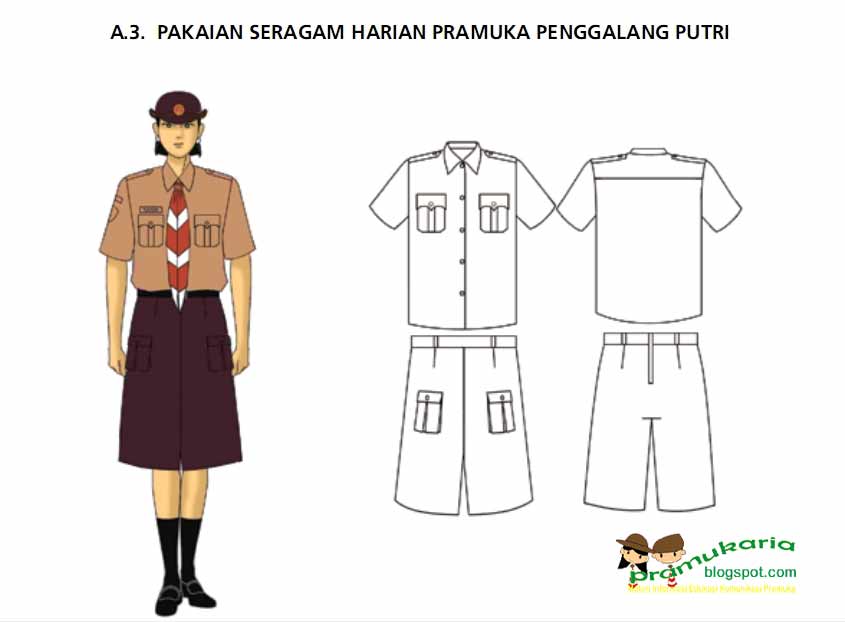 Contoh Model Seragam Pramuka  Penggalang  Putri  2012 Pramuka 