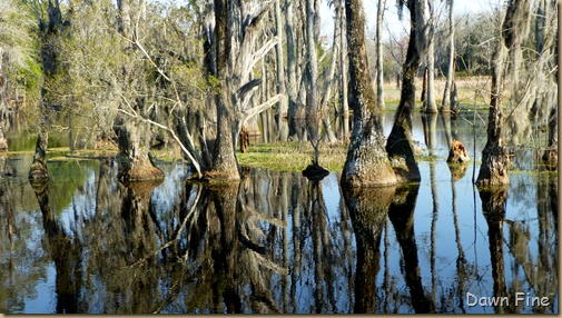 Magnolia Plantation_579