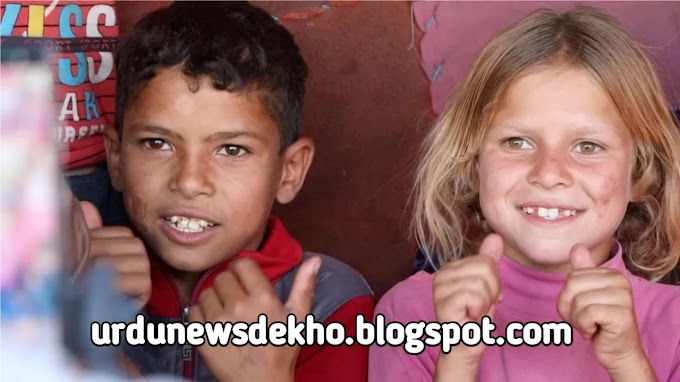  بھیک مانگنے والے خاندانوں کے لائیو اسٹریم سے TikTok کا منافع