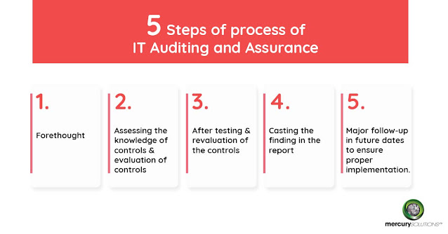 process-of-it-auditing-and-assurance